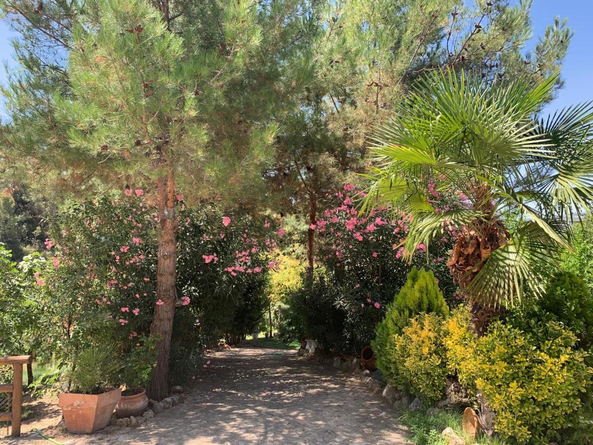 Вилла Cortijo La Julia Орсера Экстерьер фото