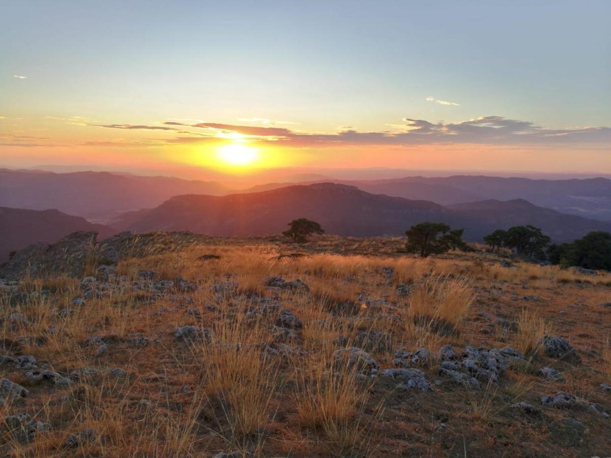 Вилла Cortijo La Julia Орсера Экстерьер фото